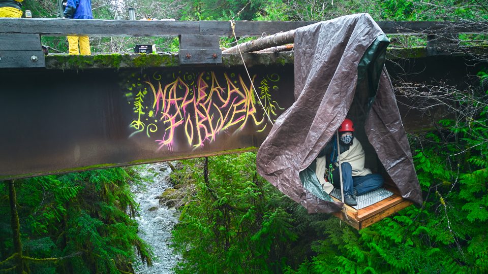 Forest defenders vow to fight on after RCMP raid dismantles Vancouver Island protest camp