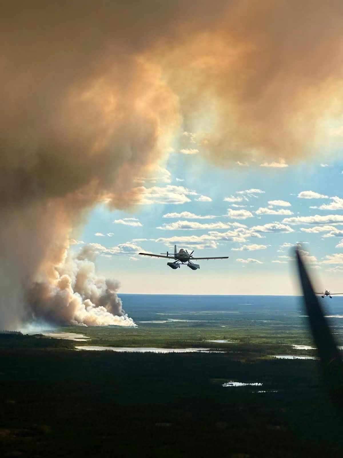 Ford government won’t commit to forest fire inquiry, as chiefs demand change