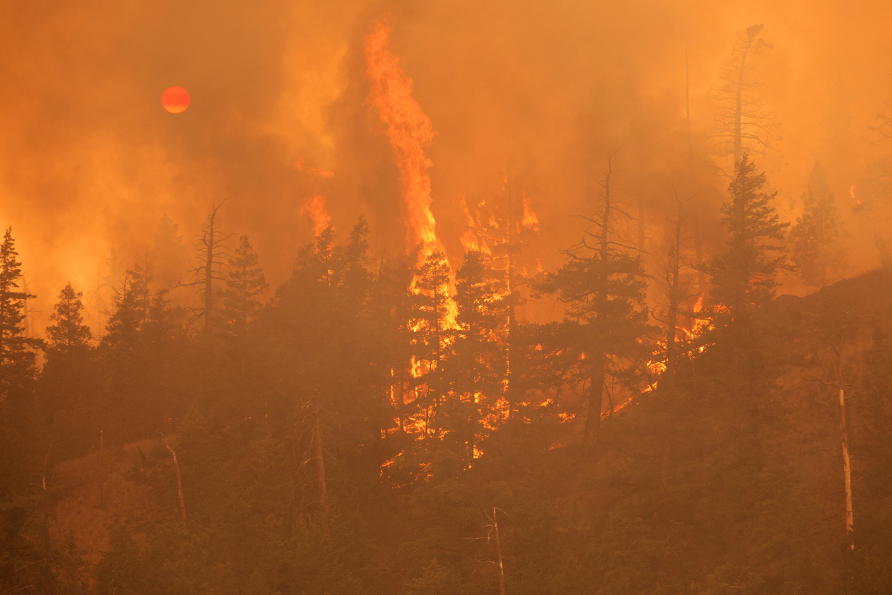 Canada is burning. Why won’t CBC tell us why?